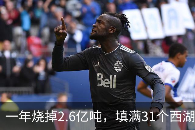 一年烧掉2.6亿吨，填满31个西湖！中国的垃圾，不够烧了？